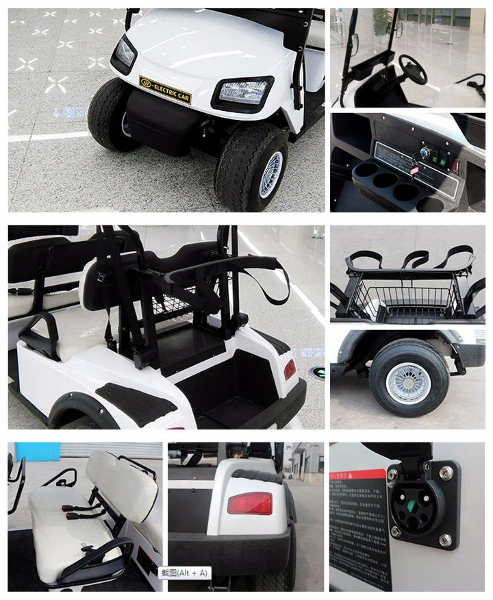 Zhongyi Mini 2 Seater Electric Golf Cart with Rear Bucket