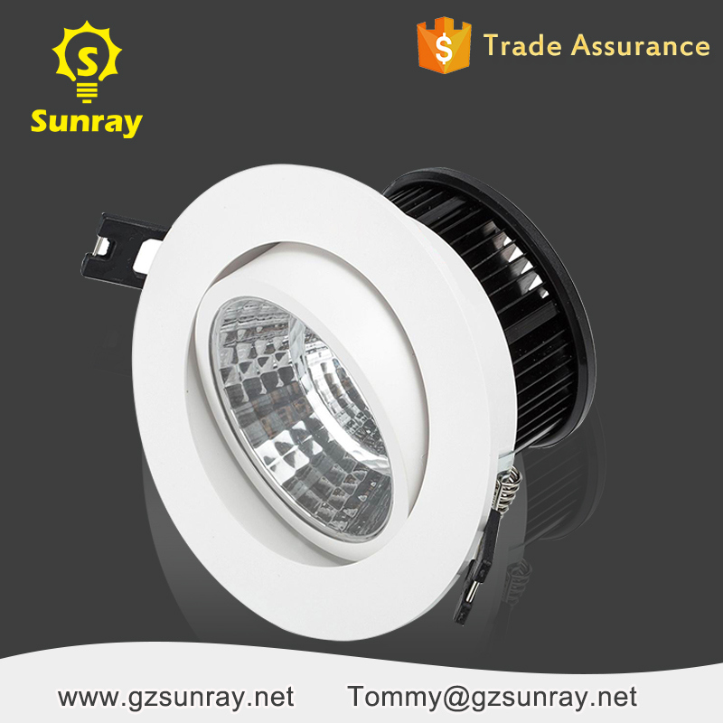 Aluminum Adjustable 5W 15W Dimmable Recessed COB LED Down Light