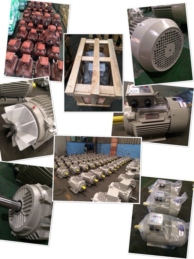 Electrical Motor Asynchronous Motor Cast Iron Three-Phase Y2 Series