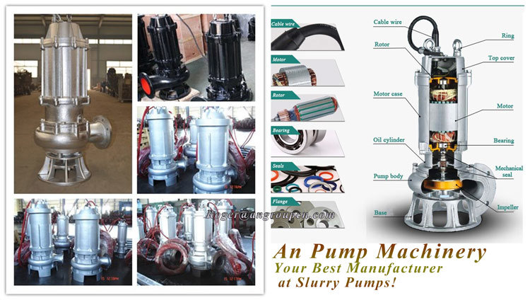 Stainless Steel Centrifugal Submersible Sewage and Waste Water Pump