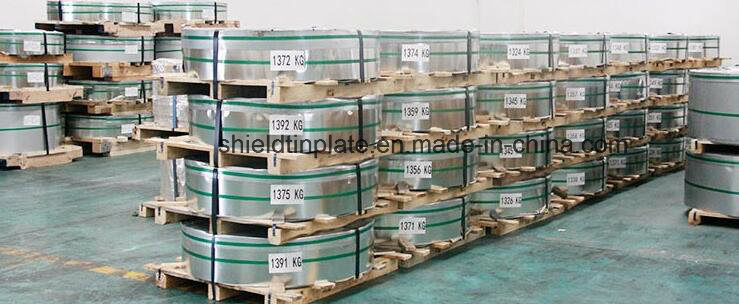 Zinc Galvanized Steel Sheet for Eoe Can Tab