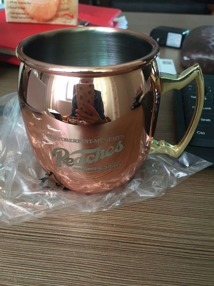 Stainless Steel Copper Plated Moscow Mule Absolut Vodka Mug