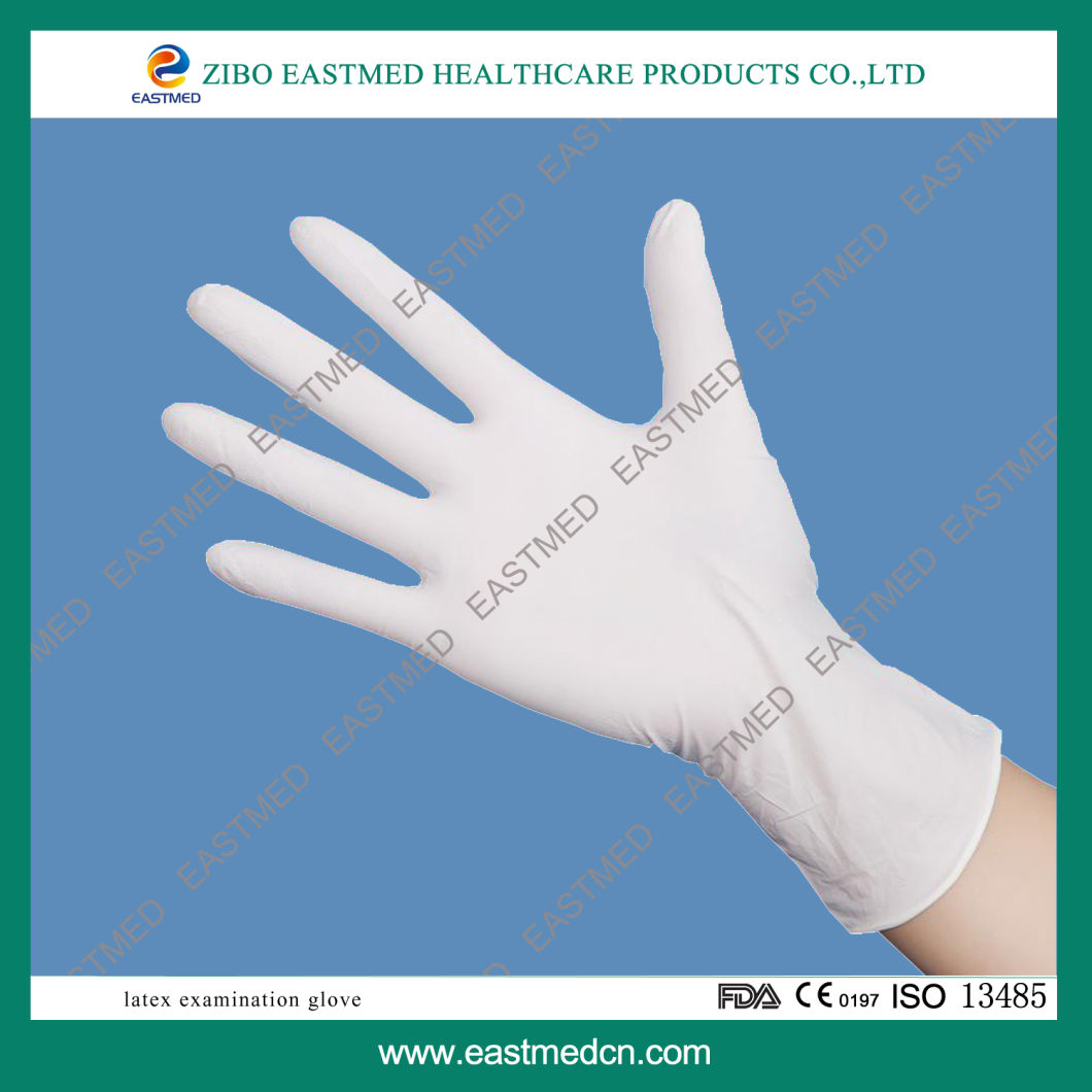 Latex Examination or Surgical Glove, Disposable Gloves