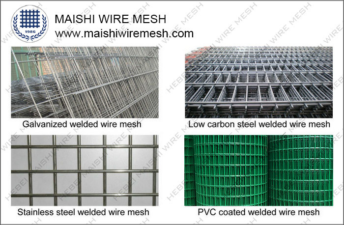 1/2''x1/2'' Green PVC Coated Welded Wire Mesh Panel Fence Suppiler