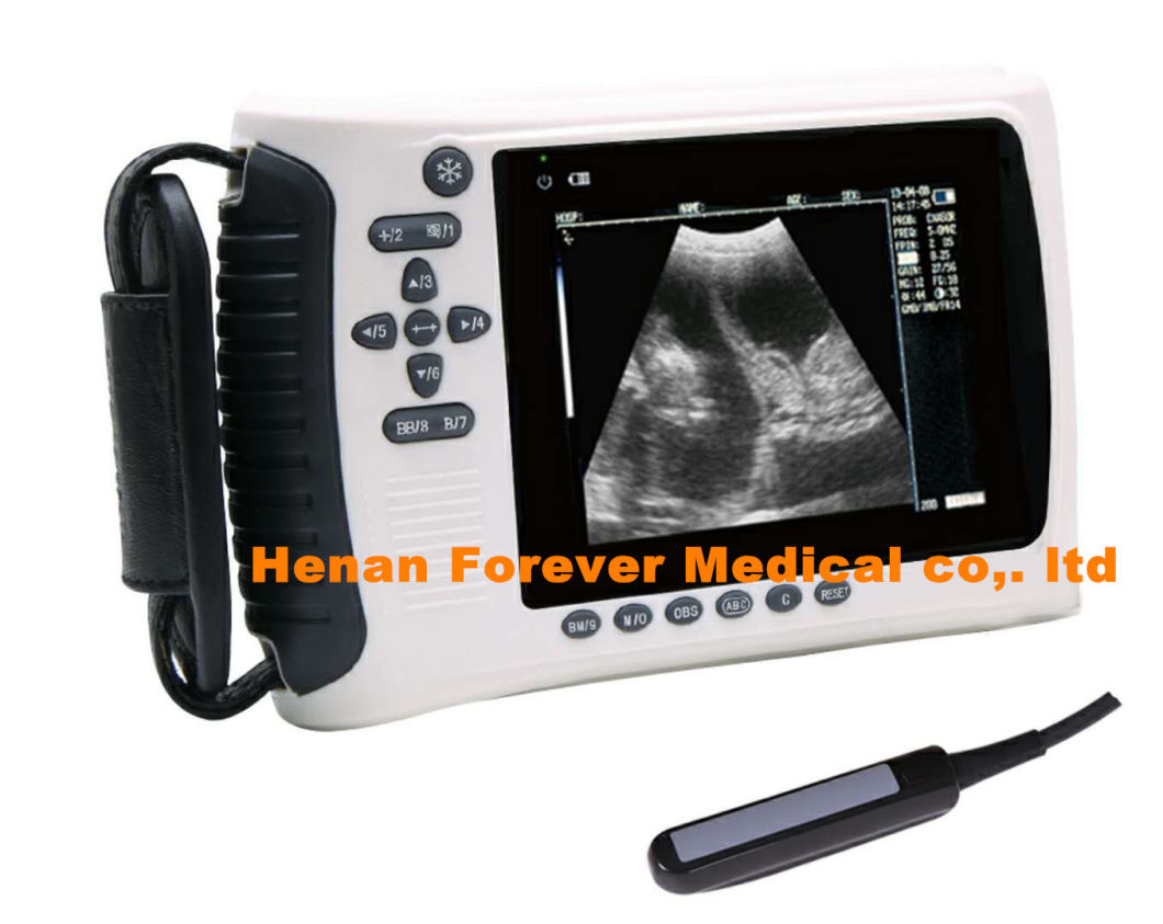 Veterinary Machine Cheap Vet Portable Ultrasound Sheep Pregnancy Scanner
