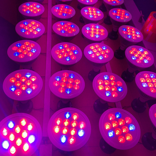 Mini Bloom PAR38 E27 12W LED Grow Light with Best Price