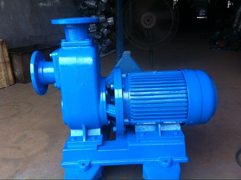 Bz Fire Fighting Self Priming Water Pump Horizontal Type