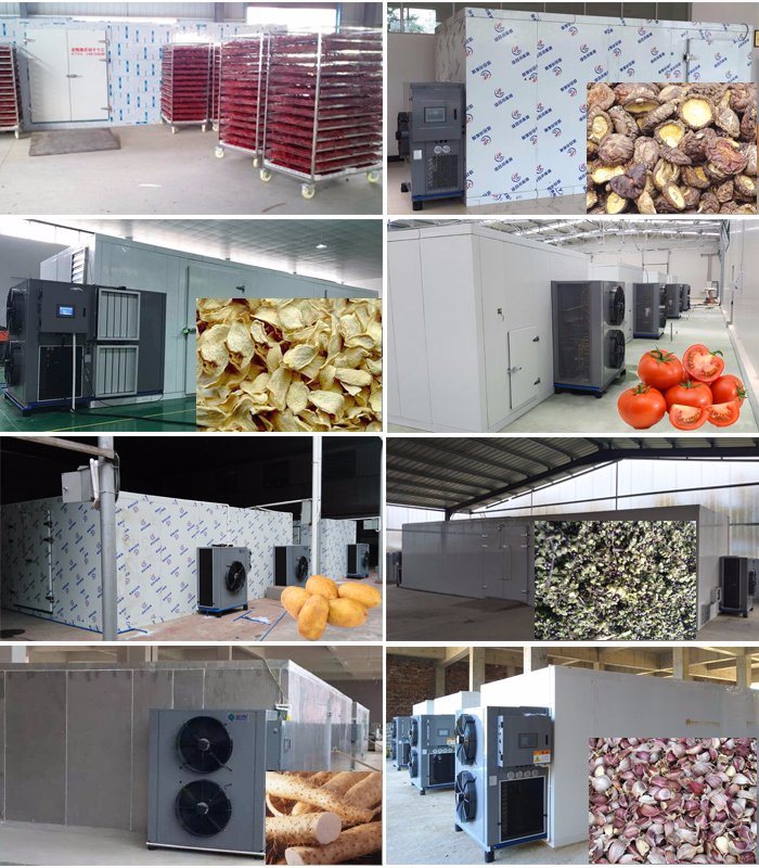 Hot Air Circulating Dehumidify Vegetable Drier