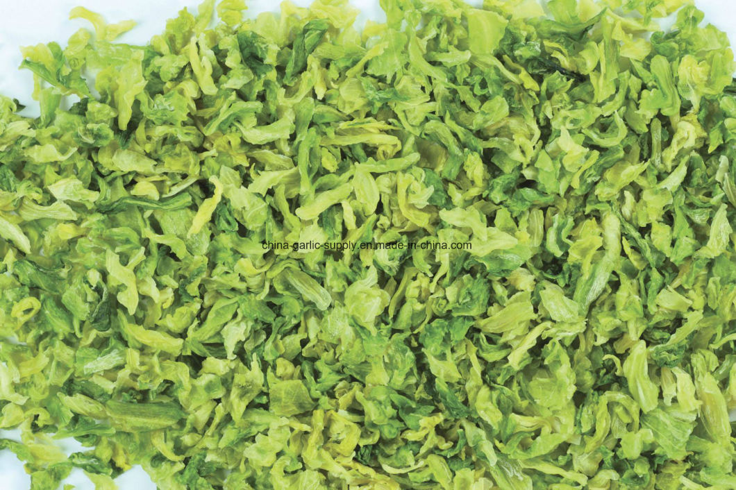 New Crop Natural Fresh Flake Granules Air Dehydrated Frozen Cabbage