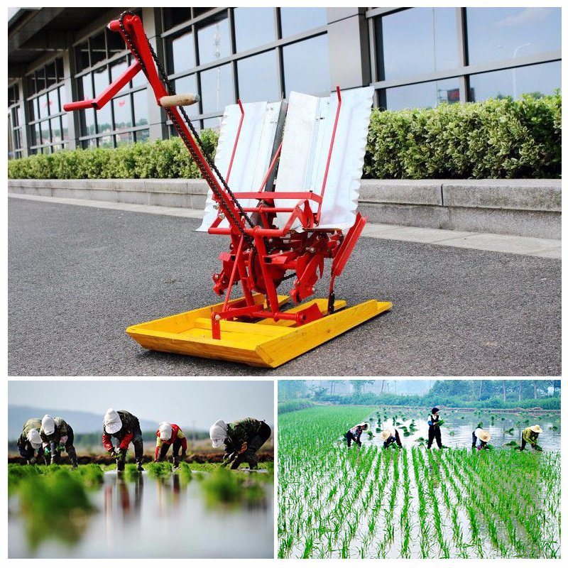 Rice Seeding Paddy Seeder Rice Planting Transplanter Machine