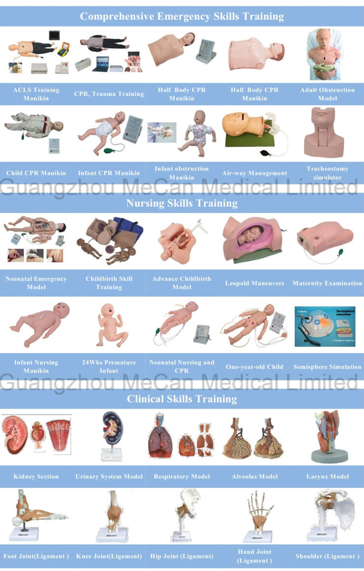 Medical Education Comprehensive Emergency Skills Training Model