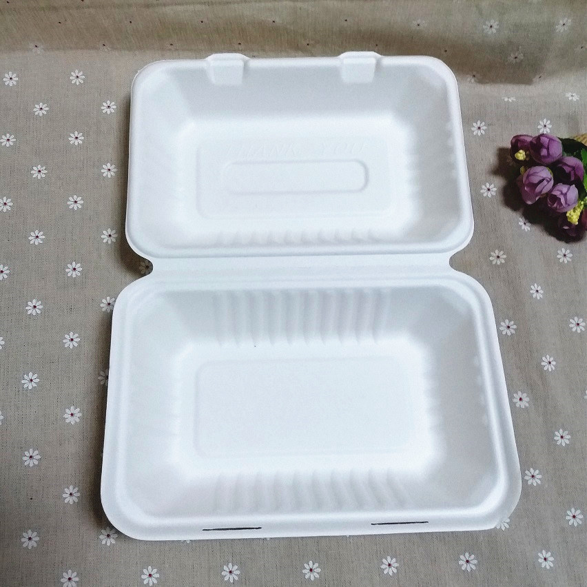 Biodegradable Food Container Bagasse Compostable Bento Lunch Box