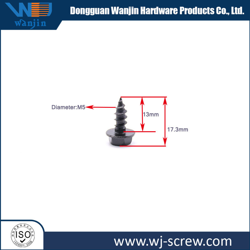 OEM Outside Harden Hex Head Paint E-Coating Self-Tapping Screw