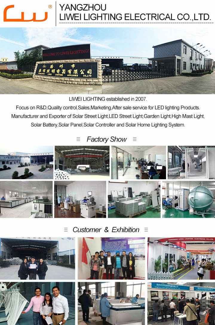 8m High and Low Arm Q235 Spray Plating Production Line Street Light Pole