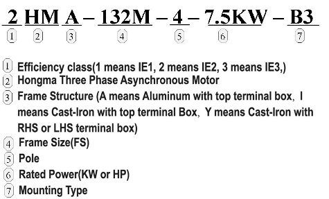 Hm (Y2, YE2, YE3) Series Three Phase High/ Premium Efficiency Electric Motor