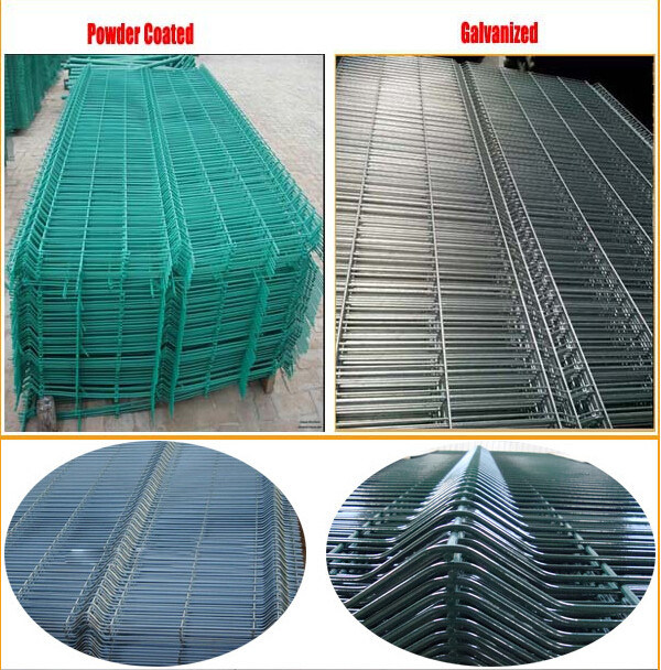 Hot Dipped Galvanized Steel Mesh (SP-002)