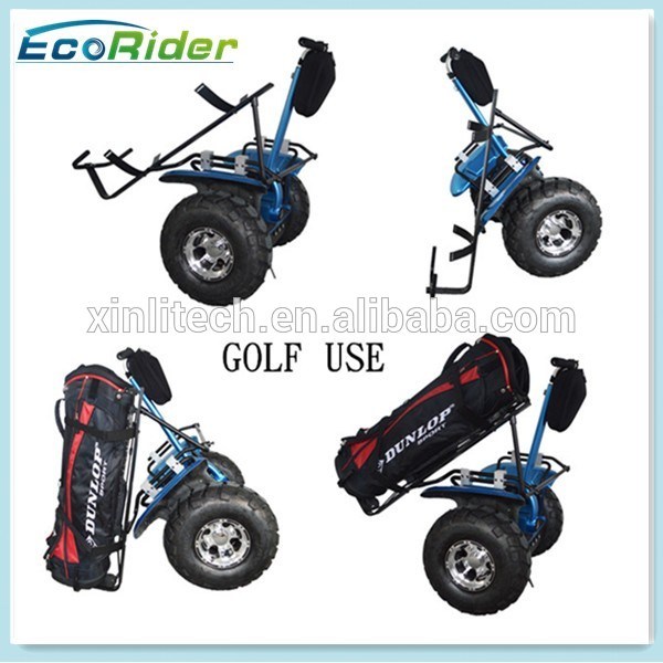 2018 Ecorider Hot Sale Lithium Battery E-Scooter Two Wheel Smart Balance Electric Golf Cart Scooter