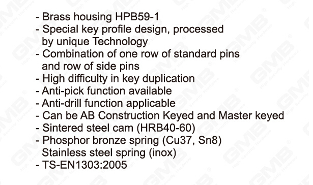 En 1303 High Security Mortise Euro Profile Standard Door Lock Cylinder/ Door Lock/ Brass Cylinder (GMB-CY-27)