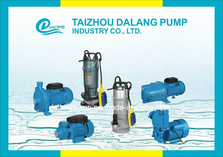 Qb Series Peripheral Pump, Vortex Pump, Garden Pump, Surface Pump