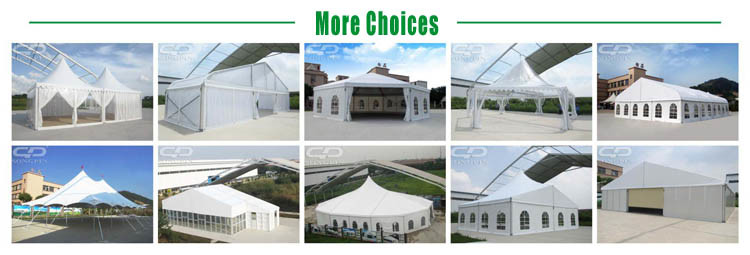 6X6m Red Outdoor Big Pop up Party Tent for Events in Hot Sale