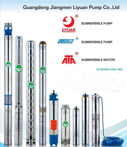 Liyuan Stainless Steel Deep Well Small Submersible Pump Domestic Home Use
