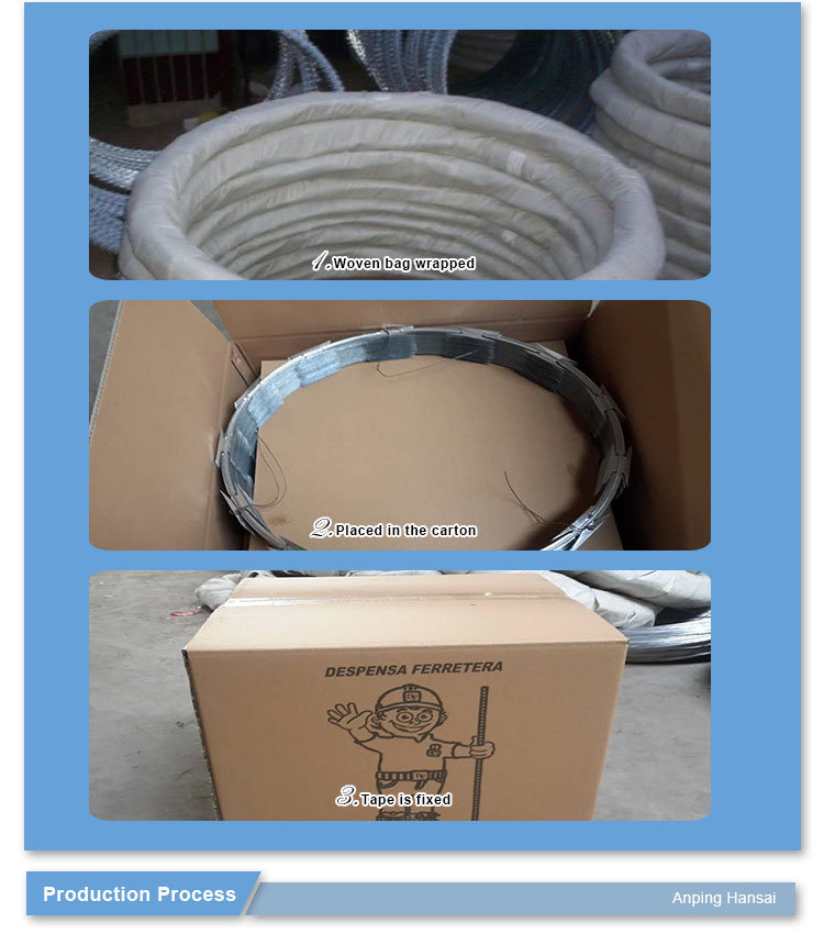 PVC Razor Barbed Wire with Hot Sale