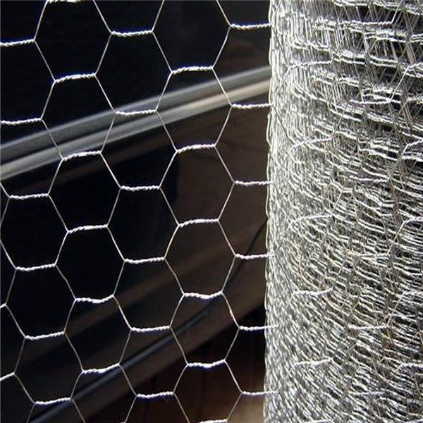 High Quality PVC Coated Hexagonal Wire Mesh for Chicken