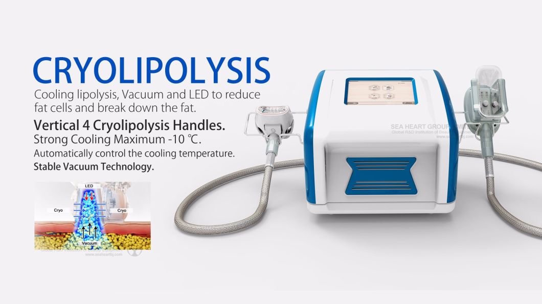 Cryolipolysis 4in1 Double Chin Fat Freeze Slimming Weight Loss Portable Machine 2018