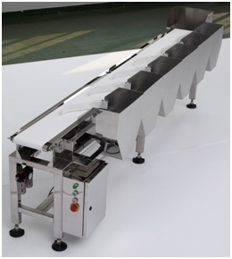 High Speed Weighing and Sorting Machine for Shrimp and Fish