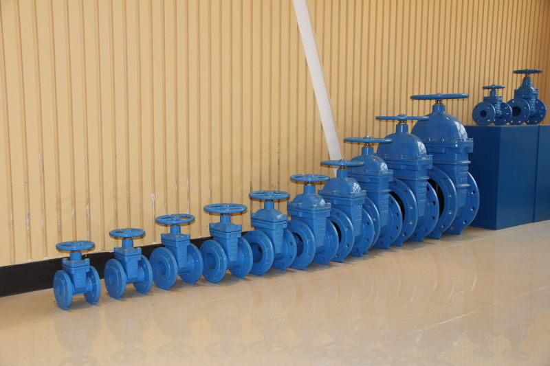 Resilient Seated Gate Valve En1074 F4 F4 BS5163 Awwac515 Awwac509 SABS664 SABS665 Pn16 250psi Flanged or Socket Gate Valve