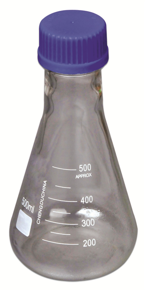 Glass Erlenmeyer Flask with Screw Cap and Gl 45 Thead