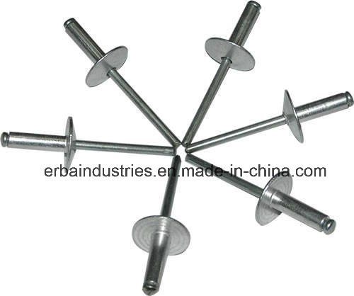 Dome Head Ss Rivet Stainless Steel Rivets