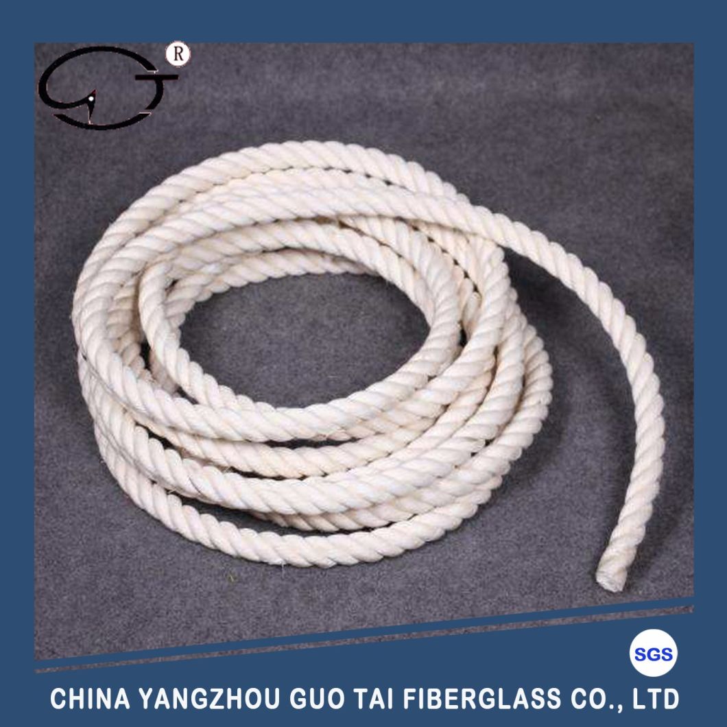 High Quality High Tensile Polyethelene Braided Rope for Shipping Boat