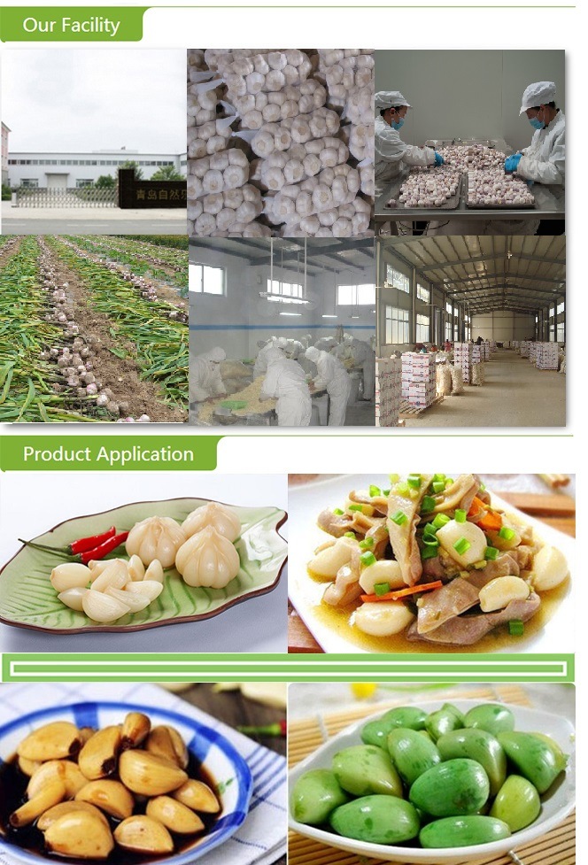IQF Frozen Garlic Granules with High Quality