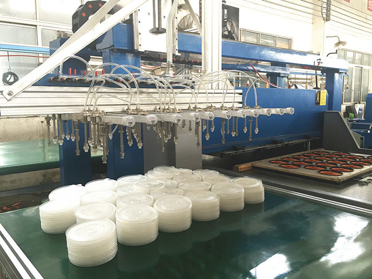 Hg-B60t Automatic Feeding Plastic Food Packaging Hydraulic Cutting Machine