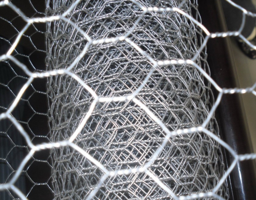 PVC Coated Galvanized Hexagonal Wire Chicken Mesh