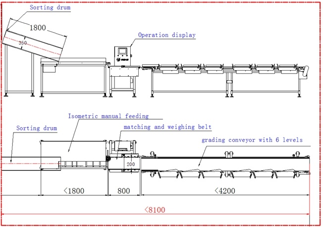 High Productivity Multi Grades Oyster Weight Sorting Machine