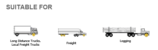 Longmarch / Roadlux TBR PCR OTR Radial Truck Tire (LM268)