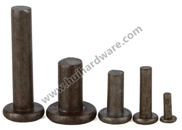 Steel/Iron Flat Head Solid Rivets with High Quality