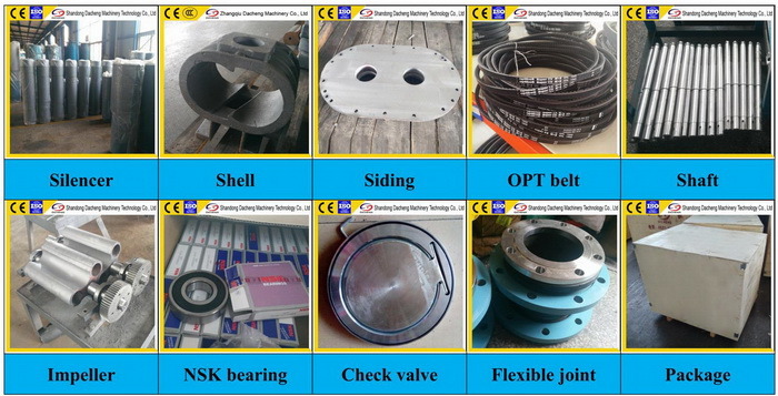 Dsr150V Rotary Roots Blower Roots Vacuum Pump Positive