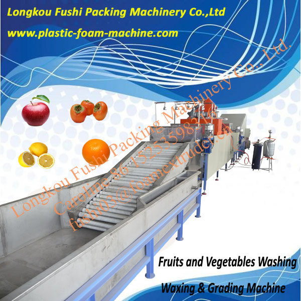 Fruit and Vegetable Washing Waxing Drying and Grading Machine