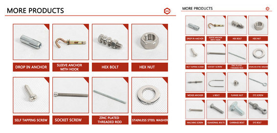 Ss304 Self Tapping Wood Hook Screw with Eye