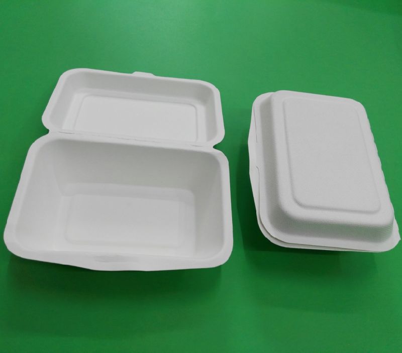 Disposable Sugarcane Pulp Paper Lunch Box, Paper Tableware