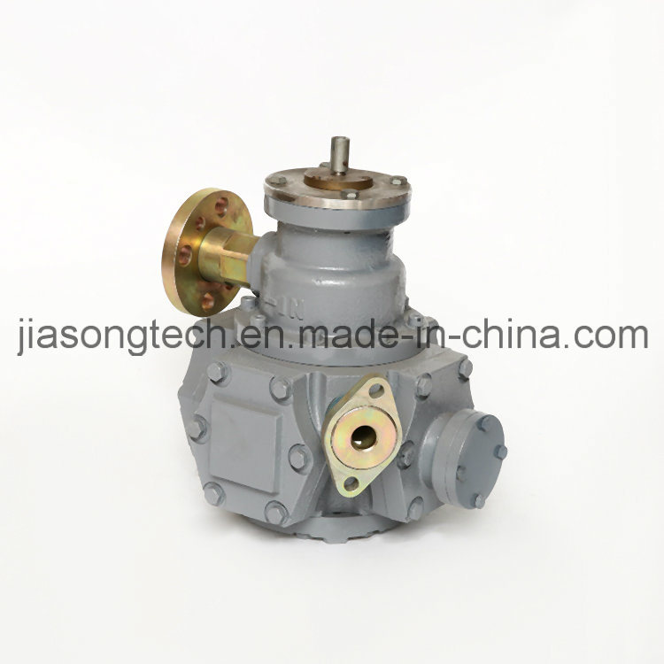 Fuel Pump LPG Gas Flow Meter