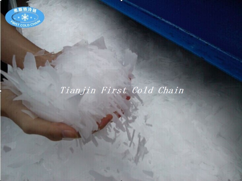Flake Industrial Ice Making Machines with Bitzer Compressor