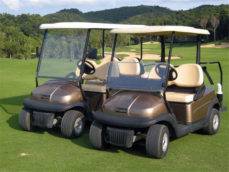 2 Seater Mini Golf Cart with Water Proof and Windshield on Sale for Golf Course