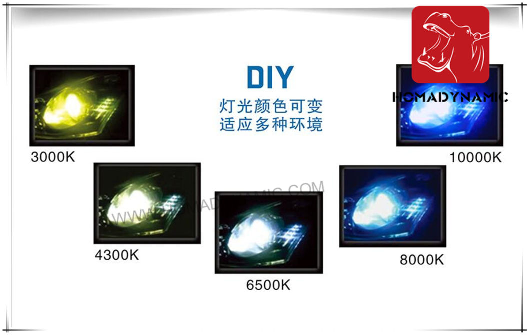 Best Seller for Japan Market--LED Headlight H10