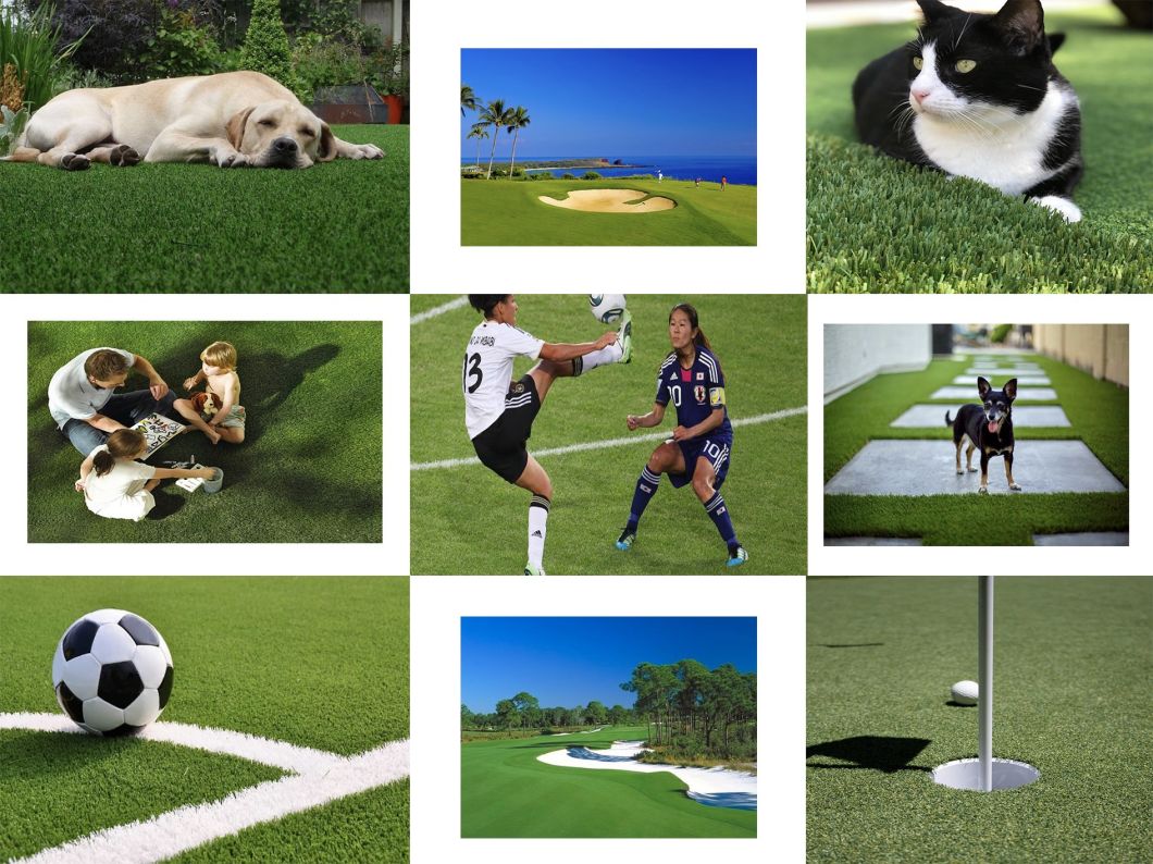 Artificial Synthetic Sports Turf for Landscaping Football Lawn Green with SGS