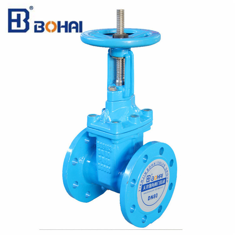 Non-Rising Resilient Seat Gate Valve