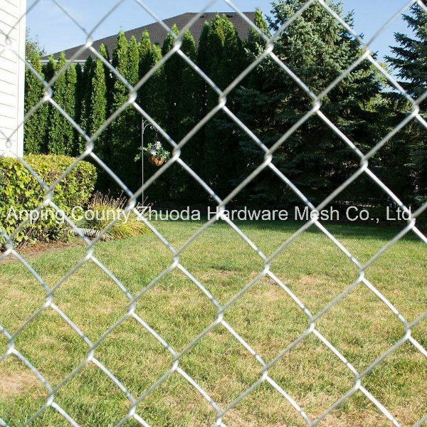 Supply Fencing 1 Inch Galvanized Chain Link Wire Fencing